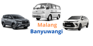 Travel Malang Banyuwangi Nyaman Dan Terjangkau Bersama Wantrans